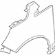 Ford DM5Z-16006-A Fender, Front Driver Side