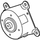 Ford CC1Z-8678-E Serpentine Idler Pulley, Driver Side
