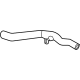 Ford LX6Z-8260-N Upper Hose