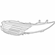 Ford DP5Z-8200-BC Upper Grille, Front Passenger Side