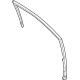 Ford ML3Z-1521596-A Run Channel, Front Passenger Side