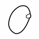 Ford AE8Z-54405A26-A Fuel Door, Rear