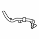 Ford L1MZ-8286-N Lower Hose