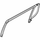 Ford AE9Z-7425766-A Run Channel, Gray Tint, Passenger Side