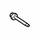 Ford -W706289-S437M Lower Hinge Bolt