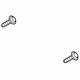 Ford -W714309-S900 Tail Lamp Assembly Screw