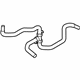 Ford L1MZ-8C289-A Water Hose