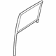Ford DT1Z-6125766-G Run Channel, Passenger Side