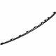 Ford D2BZ-17C830-CA Molding