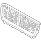 Ford LJ7Z-8200-CA Grille, Silver