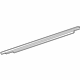 Ford 6G1Z-5421452-AA Belt Weatherstrip, Front Outer Passenger Side