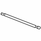 Ford JL1Z-7842104-A Lift Cylinder, Passenger Side
