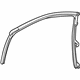 Ford AE9Z-7421596-A Run Channel, Passenger Side