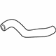 Ford XC2Z-8286-CA Lower Hose