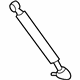 Ford 6L8Z-78406A10-A Lift Cylinder, Rear Passenger Side