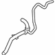 Ford DS7Z-8286-A Lower Hose