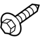 Ford -W720029-S439 Lower Hinge Bolt, Rear