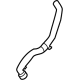 Ford NL3Z-8260-E Lower Hose