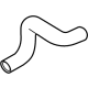 Ford PZ1Z-8286-C Lower Hose