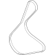 Ford LX6Z-8620-B Serpentine Belt