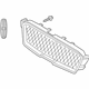 Ford HP5Z-8200-BA Upper Grille, Gloss Black