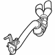 Ford HC3Z-5230-C Rear Muffler, Front