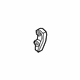 Ford FT4Z-6M256-A Chain Guide