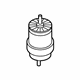 Ford KB3Z-6038-A Motor Mount, Passenger Side