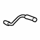 Ford 6L3Z-99279A30-A Rear Support, Passenger Side