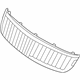 Ford 7H6Z-8200-A Grille, Upper