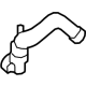 Ford F2GZ-8286-B Lower Hose
