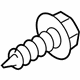 Ford -W707496-S437 High Mount Lamp Screw