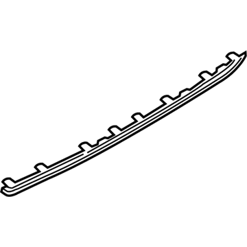 Ford DR3Z-17C830-AA Molding - Bumper Bar