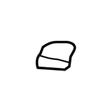 Ford 6L2Z-78041A21-AAA Lens Retainer Bracket, Black, Driver Side 6L2Z-78041A21-AAA Ford Lens Retainer Bracket, Black, Driver Side Illustration 1 of 1