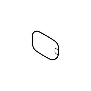 Ford FL3Z-99405A26-BPTM Door - Fuel Tank Filler Access