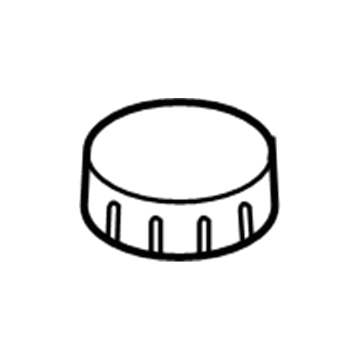 Lincoln 6E5Z-2162-AA Plug - Filler