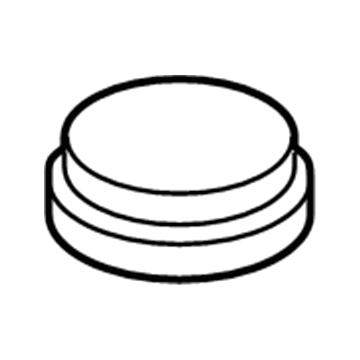 Mercury 6E5Z-2162-AA Plug - Filler