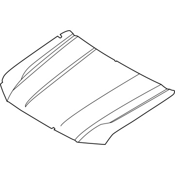 Ford N1WZ-16612-L Hood