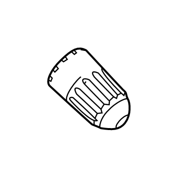 Ford F2GZ-1A163-A Cap - Valve
