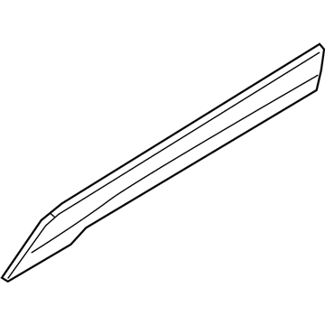 Ford DT1Z-6120878-AB Molding - Door Outside