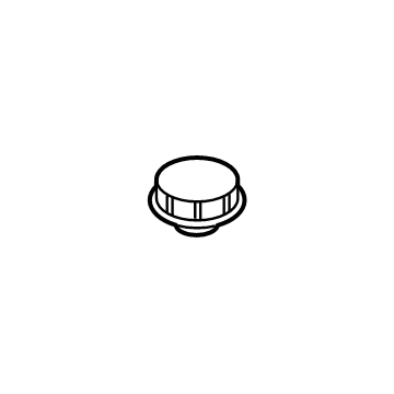 Ford DG9Z-8100-A Cap Assembly - Radiator