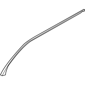 AL3Z-1651222-A Ford Weatherstrip, Passenger Side Illustration 1 of 1