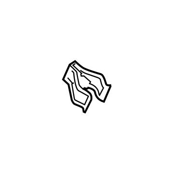 Ford -W700970-S424 Clip