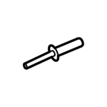 Ford -W525157-S300 Rivet