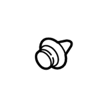 Lincoln -W713610-S300 Pin - Trim