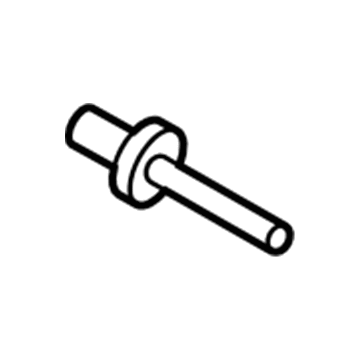 Ford -W716070-S300 Rivet