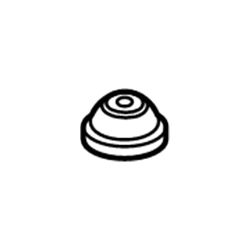 Ford -W702953-SS34X Plug