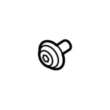 Ford -W713610-S300 Pin - Trim