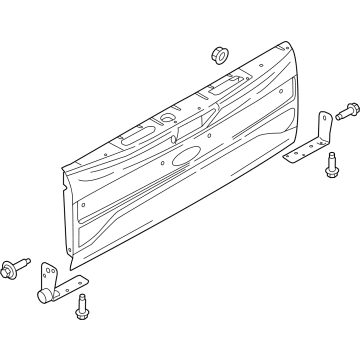ML3Z-9940700-Q Ford Tailgate Assembly Illustration 1 of 1