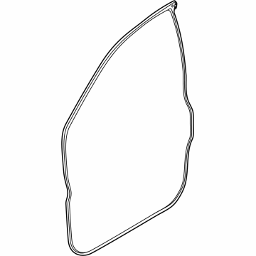 Ford N1WZ-6020530-B Door Weatherstrip